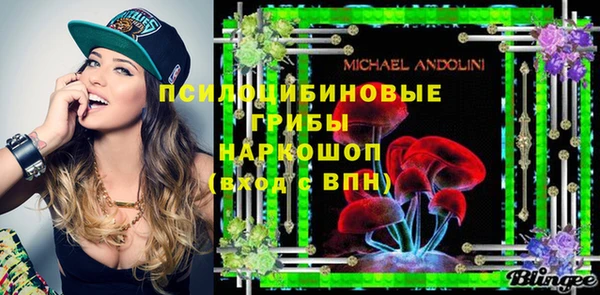 молекула духа Ижевск