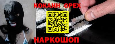 гашик Гусев