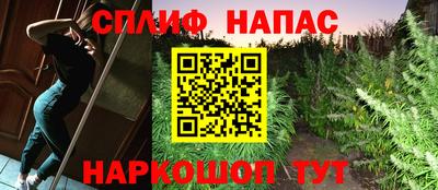 гашик Гусев