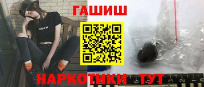 гашик Гусев