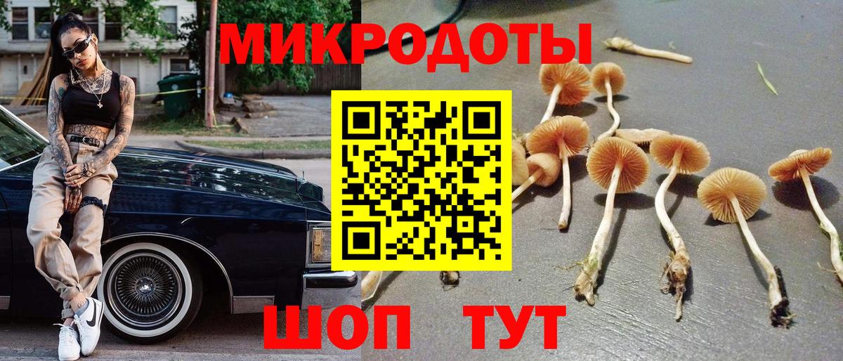 Псилоцибиновые грибы прущие грибы  Вход с VPN  сколько стоит  Иркутск 