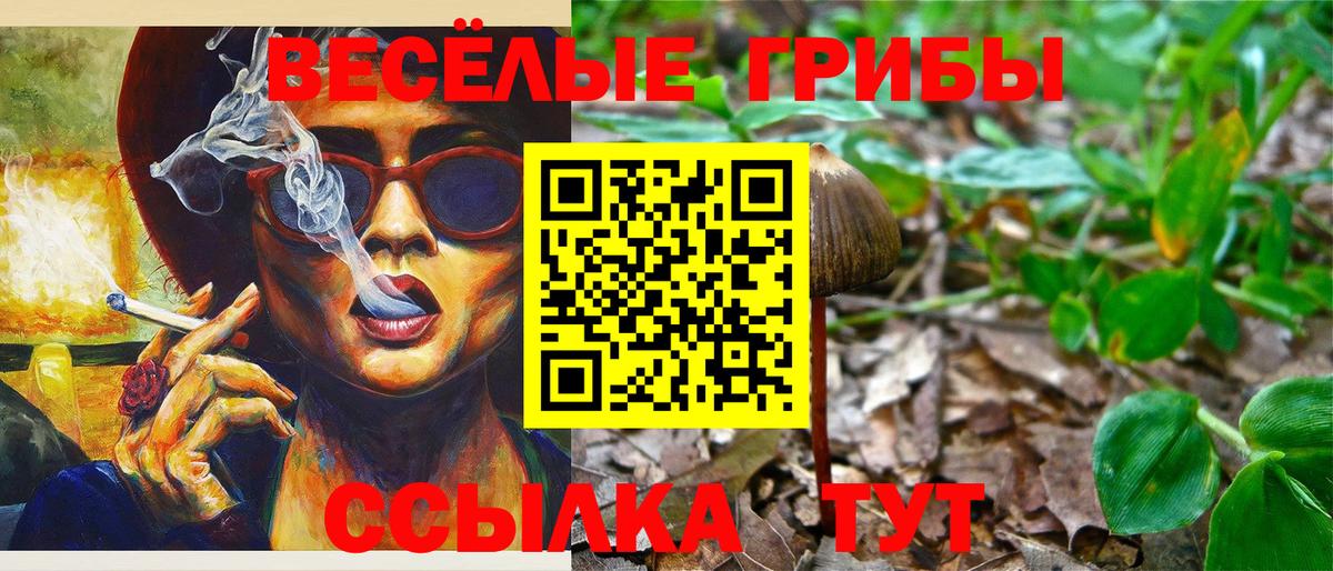 Галлюциногенные грибы мицелий Иркутск
